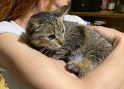 Cleo (4)